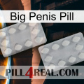 Big Penis Pill 17